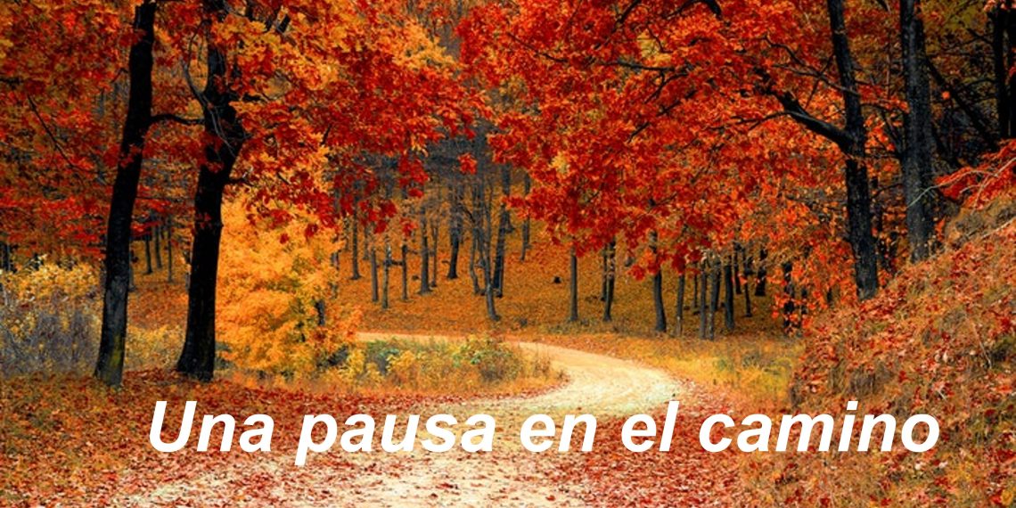 Una pausa en el camino