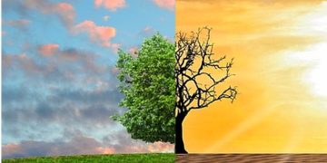 El cambio climático esta vinculado con la reducción del tamaño del cerebro en los humanos modernos