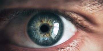 Investigadores prueban el potencial del aprendizaje automático para revelar rasgos de personalidad mediante el seguimiento ocular