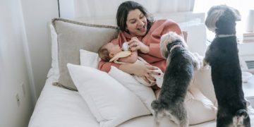 Tanto los humanos como los animales pueden pensar lógicamente, pero probar qué tipo de lógica utilizan es complicado.